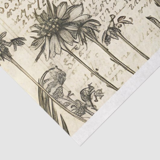 Whimsical Fairy Botanical Floral Sketches Tissuepapier (Detail)