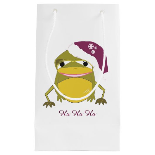 Whimsical Frog in een Santa Hat Klein Cadeauzakje (Voorkant)