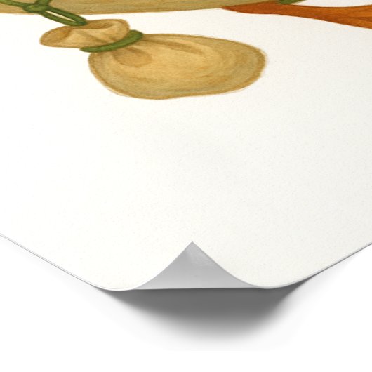 Whimsical Frog Rijden op een eend Poster (Hoek)