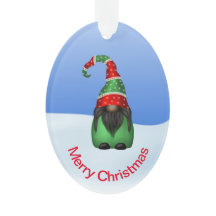 Whimsical Gnome op een sneeuwdag Kerstmis