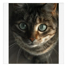 Whimsical Grijs Kat Portret Muur Kunst