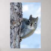 Whimsical Grijze Eekhoorn Poster (Voorkant)