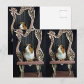 Whimsical Guinea Pig Harp Postcard – Elegant Story Briefkaart (Voorkant / Achterkant)