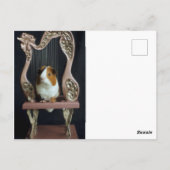 Whimsical Guinea Pig Harp Postcard – Elegant Story Briefkaart (Achterkant)