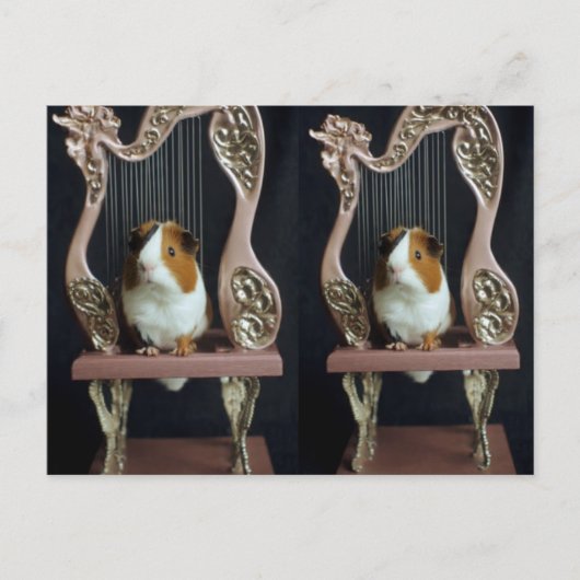Whimsical Guinea Pig Harp Postcard – Elegant Story Briefkaart (Voorkant)