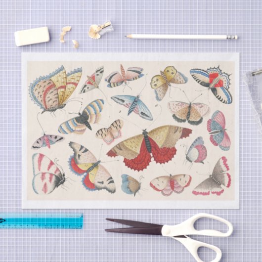 Whimsical Hand-Drawn Set van Vlinders Tissuepapier (Craft)