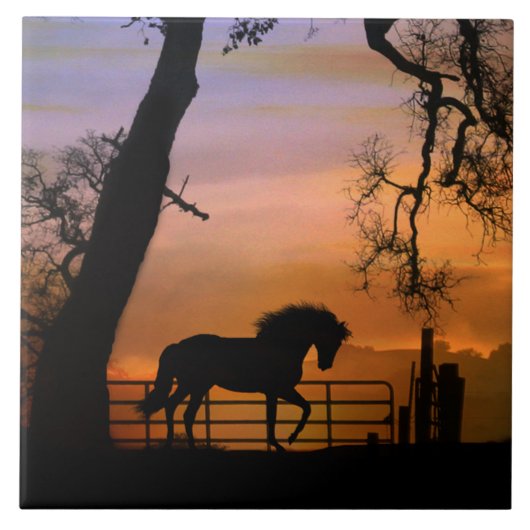 Whimsical Horse Art Tegel,  zuidwesten Tegeltje (Voorkant)