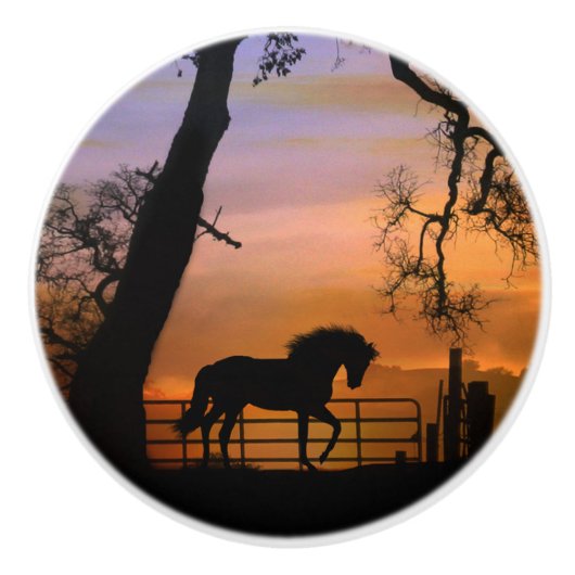 Whimsical Horse Knobs Keramische Knop (Voorkant)