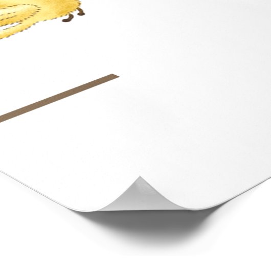 Whimsical Hot Air Balloon Growth Chart Poster (Hoek)