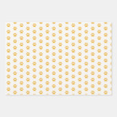 Whimsical kat patroon katachtige thema kleurrijk inpakpapier vel (Voorkant 3)