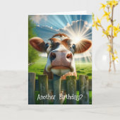 Whimsical Koe Verjaardag Humor Kaart (Gele Bloem)