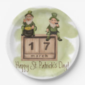 Whimsical Leprechauns St. Patrick's Day Papieren Bordje (Voorkant)