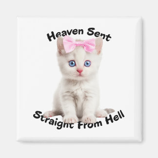 Whimsical Magneet