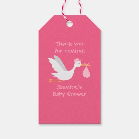 Whimsical Meisje Ooievaar Baby shower Cadeaulabel (Voorkant)