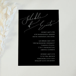 Whimsical Minimal Script Black Schedule of Events Informatiekaartje