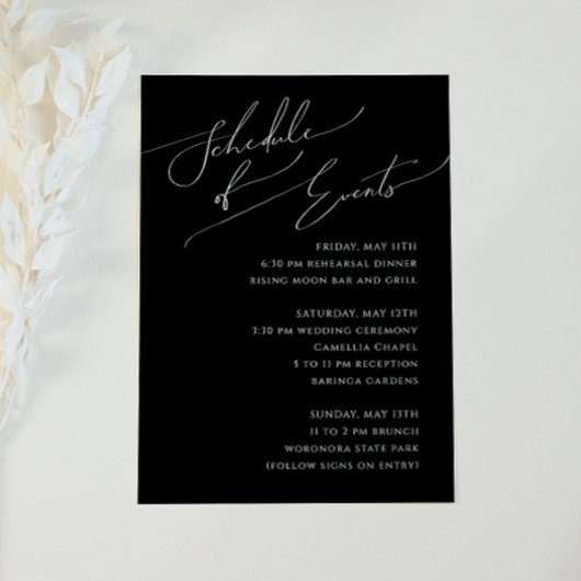 Whimsical Minimal Script Black Schedule of Events Informatiekaartje