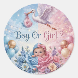 Whimsical Ooievaar Geslacht Onthulling Jongen of M Ronde Sticker