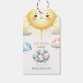 Whimsical Pastel Hatching Soon Dino Baby shower Cadeaulabel (Voorkant)