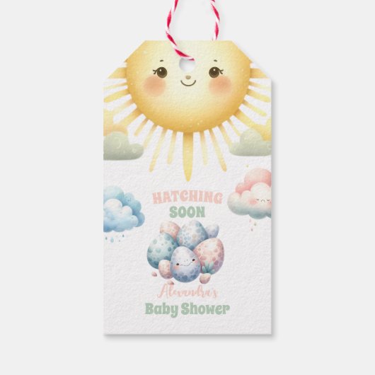 Whimsical Pastel Hatching Soon Dino Baby shower Cadeaulabel (Achterkant)