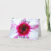Whimsical Pink and White Dianthus Flower Kaart (Voorkant)
