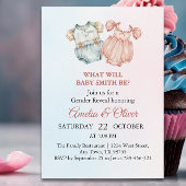 Whimsical Pink Blue Baby Outfit Genderonthulling Kaart