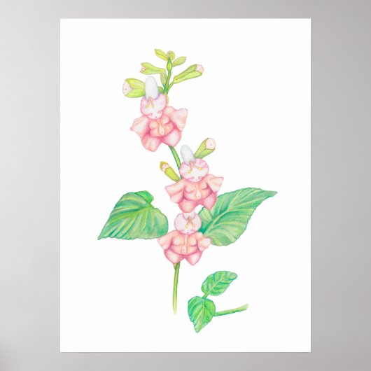 Whimsical Pink Fantasy Flowers Buds Waterverf Poster (Voorkant)