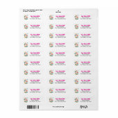 Whimsical Pink Flamingo Retour Adres Labels (Full Sheet)