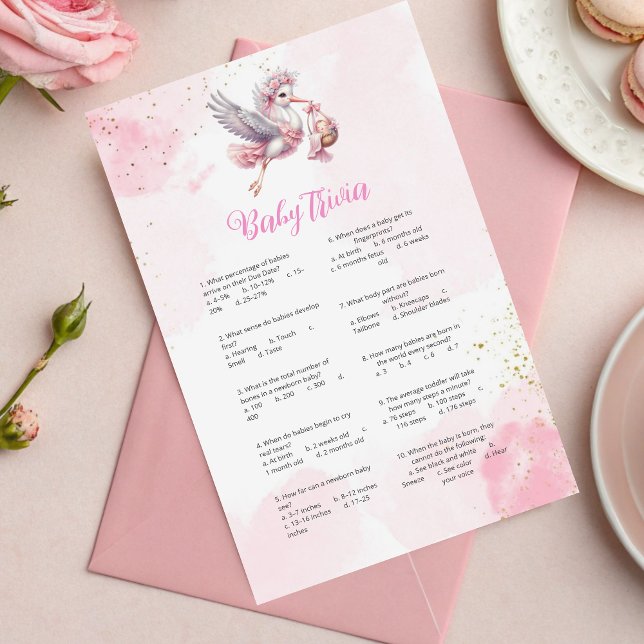 Whimsical Pink Stork Baby shower Trivia Game (Creator heeft geüpload)
