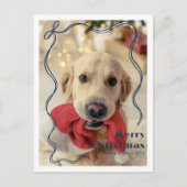 Whimsical Red Ribbon Pet Foto Vrolijk Kerstfeest Briefkaart (Voorkant)