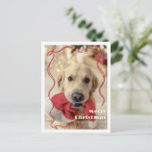 Whimsical Red Ribbon Pet Foto Vrolijk Kerstfeest Briefkaart (Staand voorkant)