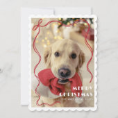 Whimsical Red Ribbon Pet Foto Vrolijk Kerstfeest Feestdagenkaart (Voorkant)