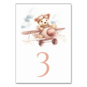 Whimsical Roze Vliegtuig Avontuur Baby shower Kaart (Achterkant)
