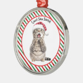 Whimsical Santa Kat Schattige Grappige Kerstkat Metalen Ornament (Links)