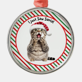 Whimsical Santa Kat Schattige Grappige Kerstkat Metalen Ornament