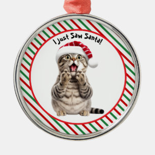 Whimsical Santa Kat Schattige Grappige Kerstkat Metalen Ornament