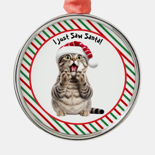 Whimsical Santa Kat Schattige Grappige Kerstkat Metalen Ornament (Voorkant)