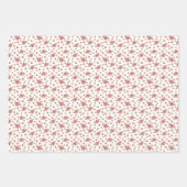 Whimsical Santa Kerstfeestdag Inpakpapier Vel (Voorkant 3)