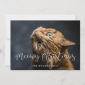 Whimsical Script Meowy Christmas Cat Foto Feestdagenkaart (Voorkant)