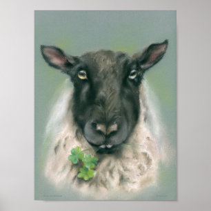 Whimsical Sheep met Shamrocks Poster