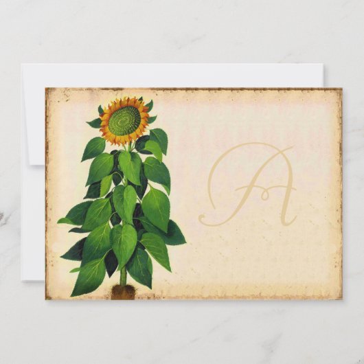 Whimsical Sunflower Weddenschap Ivory Kaart (Achterkant)