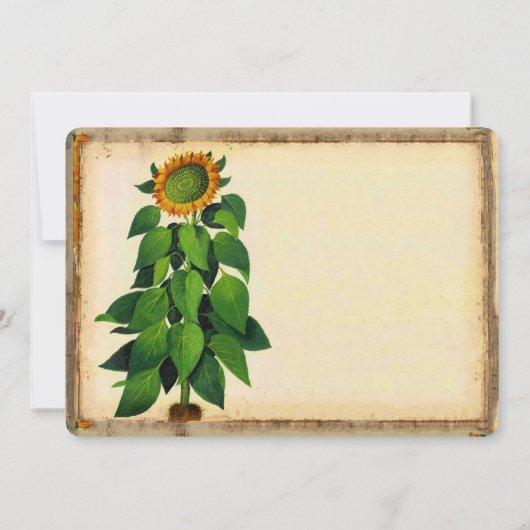 Whimsical Sunflower Weddenschap Kaart (Achterkant)