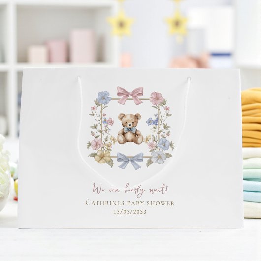 Whimsical Teddy Bear Baby Shower Gift Carrier Groot Cadeauzakje