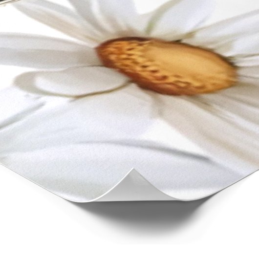 Whimsical Teddy Bear  Poster (Hoek)