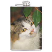 Whimsical The Cat en de Camellia Heupfles (Voorkant)