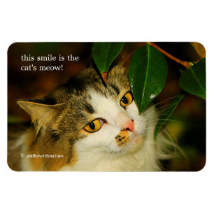 Whimsical The Cat en de Camellia Magneet