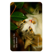Whimsical The Cat en de Camellia Magneet (Verticaal)