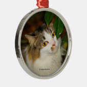 Whimsical The Cat en de Camellia Metalen Ornament (Rechts)