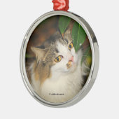Whimsical The Cat en de Camellia Metalen Ornament (Links)