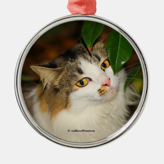 Whimsical The Cat en de Camellia Metalen Ornament (Voorkant)