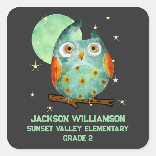 Whimsical Uil Waterverf Stijl School Naam Jaar Vierkante Sticker (Voorkant)